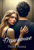 Обложка книги "Отрицание"