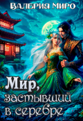 Обложка книги "Мир, застывший в серебре"