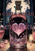 Обложка книги "Осколки"