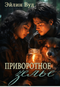 Обложка книги "Приворотное зелье"