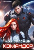 Обложка книги "Мой опасный командор"