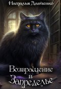 Обложка книги "Возвращение в Запределье"