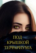 Обложка книги "Под крышкой террариума"