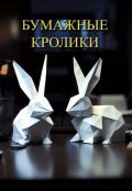 Обложка книги "Бумажные кролики"