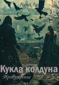 Обложка книги "Кукла колдуна"