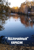 Обложка книги "Неслучайный карасик "