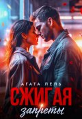 Обложка книги "Сжигая запреты"