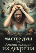 Обложка книги "Мастер душ, или Амелия выходит из декрета"