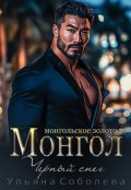 Обложка книги "Монгол. Черный снег"