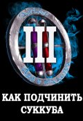 Обложка книги "Я попал в Литрпг-3, или как подчинить суккуба"