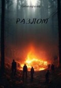 Обложка книги "Разлом"