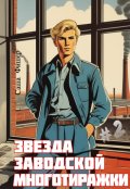 Обложка книги "Звезда заводской многотиражки - 2"