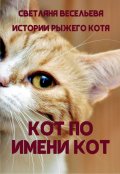 Обложка книги "Кот по имени Кот "