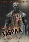 Обложка книги "Забрал себе"