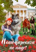 Обложка книги "Иван-царевича не надо"