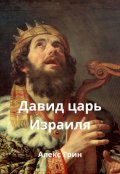 Обложка книги "Давид царь Израиля"