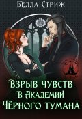 Обложка книги "Взрыв чувств в академии Черного тумана"