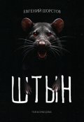 Обложка книги "Штын"