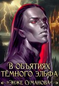 Обложка книги "В объятиях темного эльфа"