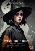 Обложка книги "Periculum in mora (опасность в промедлении)"