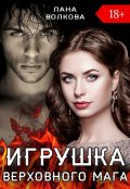 Обложка книги "Игрушка Верховного Мага"