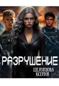 Обложка книги "Разрушение "