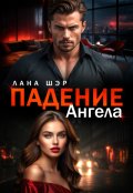 Обложка книги "Падение ангела"