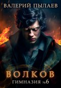 Обложка книги "Волков. Гимназия №6"