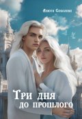 Обложка книги "Три дня до прошлого"