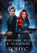 Обложка книги "Типичные будни в академии. Бонус"