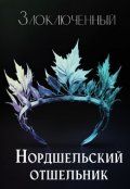 Обложка книги "Нордшельский отшельник"