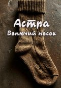 Обложка книги "Вонючий носок"