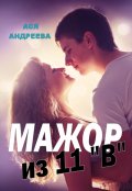 Обложка книги "Мажор из 11"В""