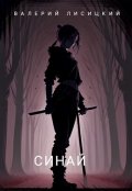 Обложка книги "Синай"