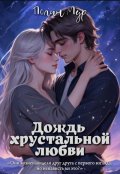 Обложка книги "Дождь хрустальной любви"