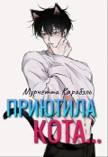 Обложка книги "Приютила Кота..."