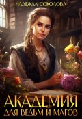 Обложка книги "Академия для ведьм и магов"