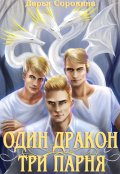 Обложка книги "Один дракон — три парня"