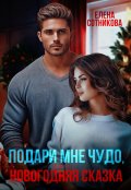 Обложка книги "Подари мне чудо, или Новогодняя сказка"