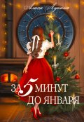 Обложка книги "За пять минут до января"