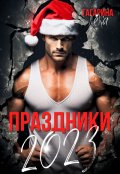 Обложка книги "Праздники 2023"