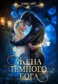 Обложка книги "Жена темного бога"