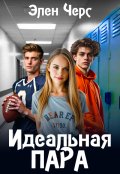 Обложка книги "Идеальная пара"