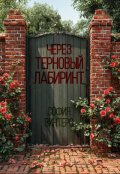 Обложка книги "Через терновый лабиринт"