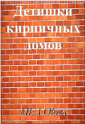 Обложка книги "Детишки кирпичных домов"