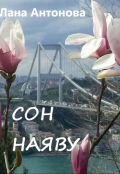 Обложка книги "Сон наяву"