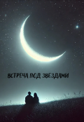 Обложка книги "Встреча под звездами "