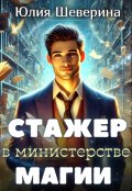 Обложка книги "Стажёр в Министерстве Магии"