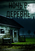 Обложка книги "Ночь в деревне"