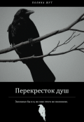 Обложка книги "Перекресток душ"